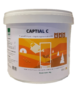 captial
